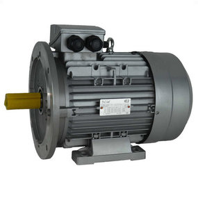 IE1 Elektromotoren, 750 RPM