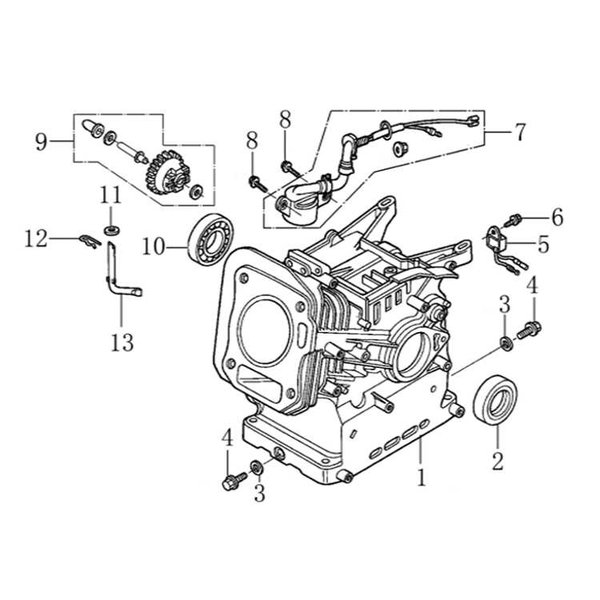 Carter - PTM160 / GX160 (handstart) | Halvewerk.nl