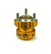 Kart asopname achterzijde 40x62mm goud