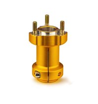 Kart asopname achterzijde 40x95mm goud