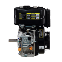 PTM220DPRO 4,2pk dieselmotor (Yanmar L48 vervanger) 